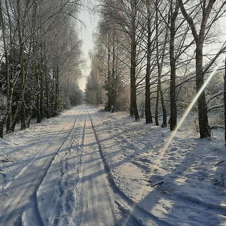 Domek Caloroczny Nad Jeziorem Budzislawskim, Wielkopolska Na Wynajem Anastazewo Exterior photo