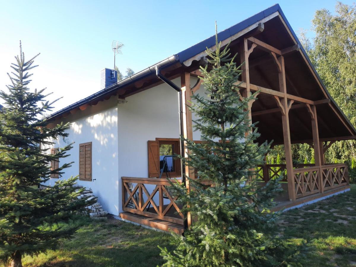 Domek Caloroczny Nad Jeziorem Budzislawskim, Wielkopolska Na Wynajem Anastazewo Exterior photo