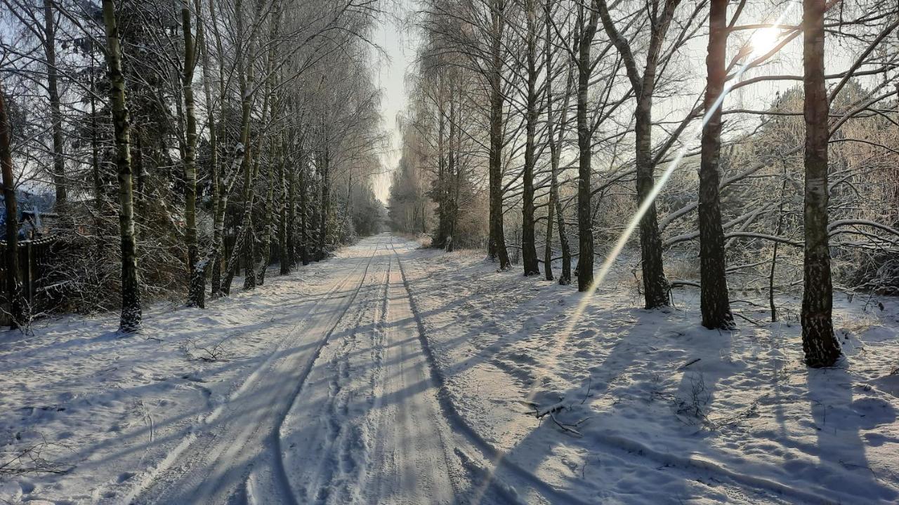 Domek Caloroczny Nad Jeziorem Budzislawskim, Wielkopolska Na Wynajem Anastazewo Exterior photo