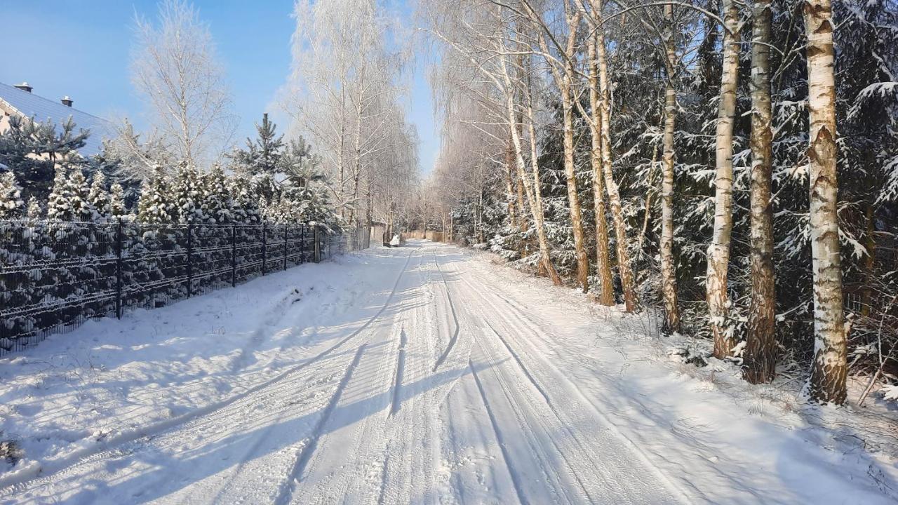 Domek Caloroczny Nad Jeziorem Budzislawskim, Wielkopolska Na Wynajem Anastazewo Exterior photo